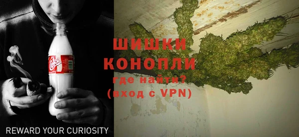 трава Няндома