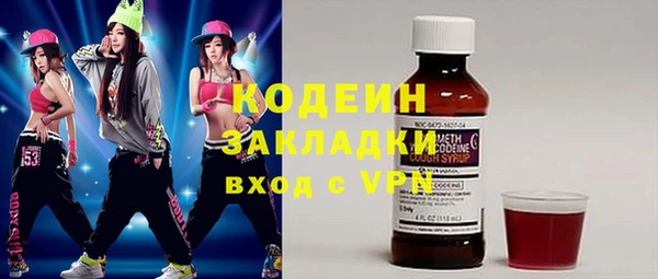 трава Няндома
