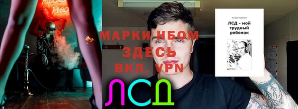 трава Няндома