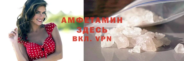 трава Няндома