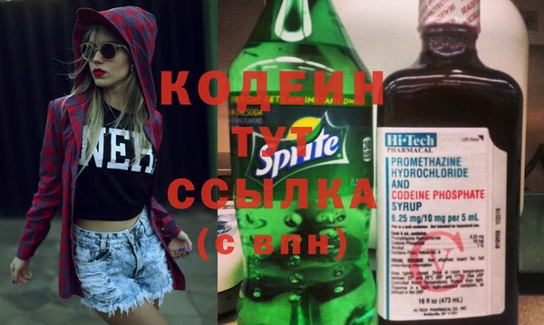 трава Няндома