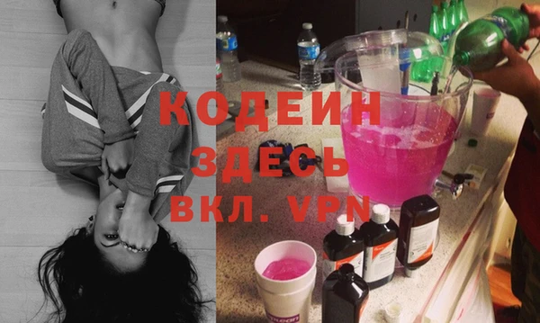 трава Няндома