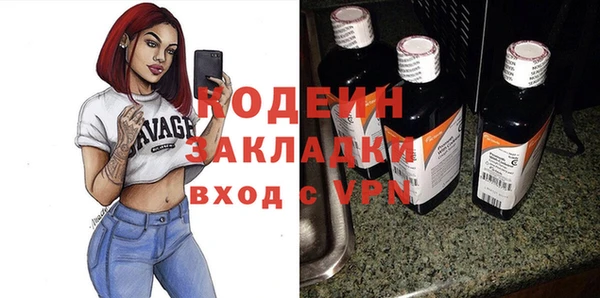 трава Няндома