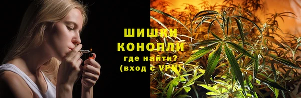 трава Няндома